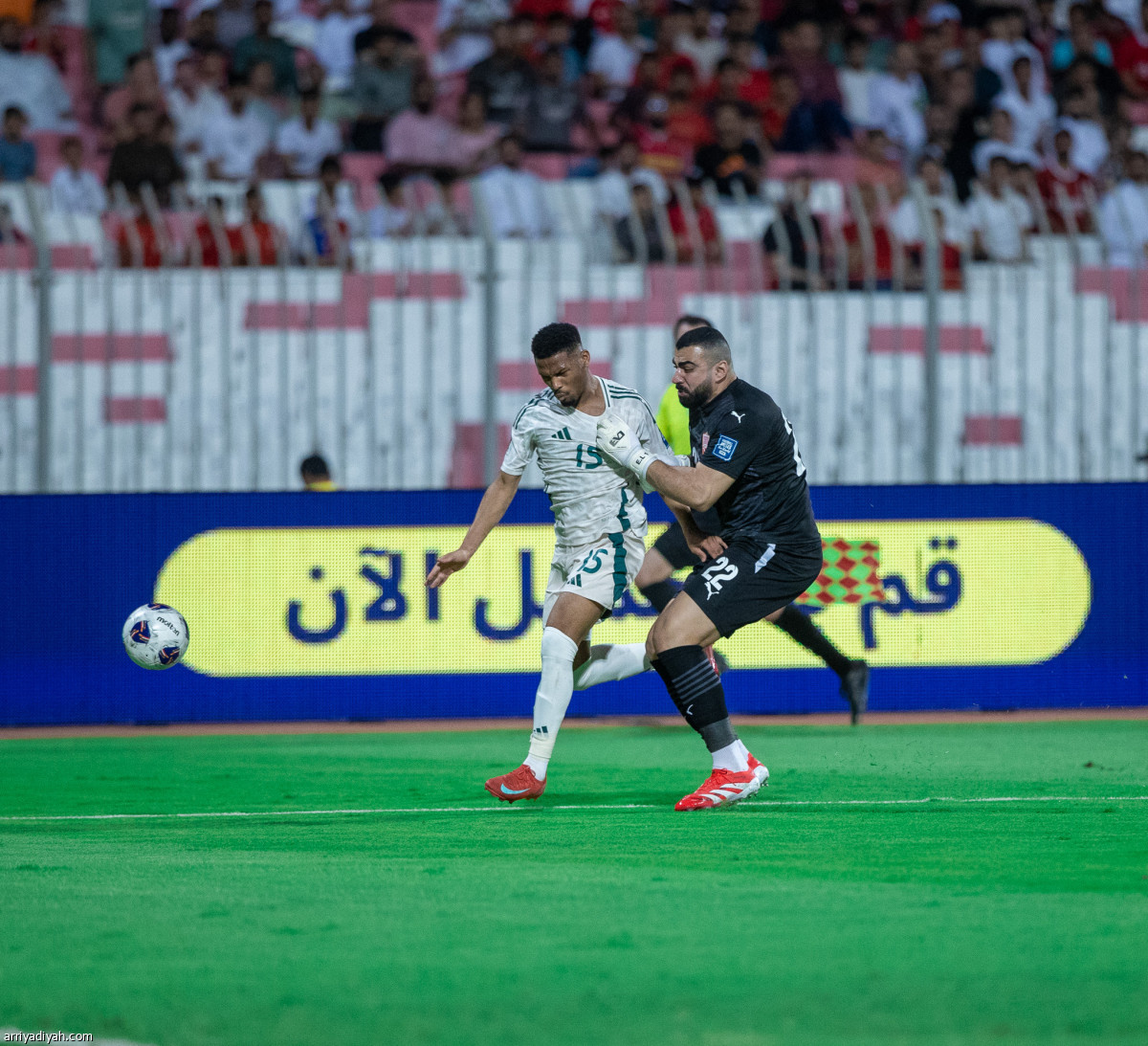 فرحة خضراء